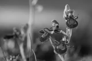 Awesome captions make better photos