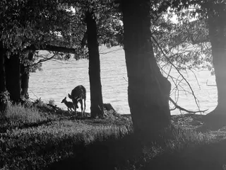 Awesome captions make better photos