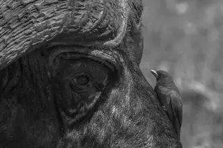 Why shouldn’t you write with a broken pen?