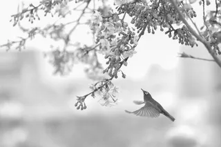 Design Sprints, A Quick Delight!